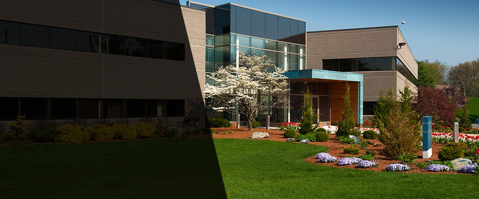 Dorchester Landscapers